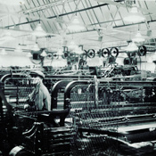 Open day activities - Educating the workers