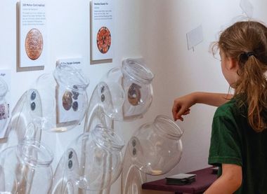 Museum of Chelmsford