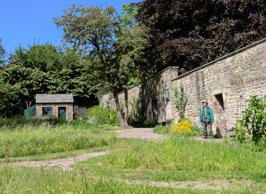 Friends of the Storey Gardens