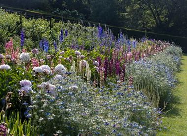 ©National Trust Images/Chris Lacey