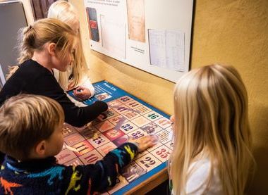 Norfolk Museums Service