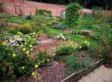 Bohemia Walled Garden