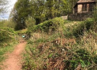 https://stauntoncoleford.org.uk/staunton-meend/