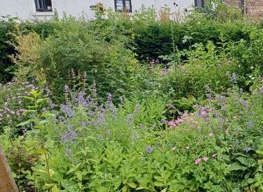 Friends of the Storey Gardens