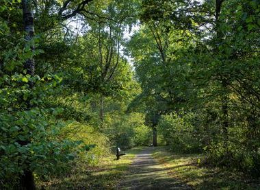 The Parks Trust