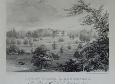 Civic Society