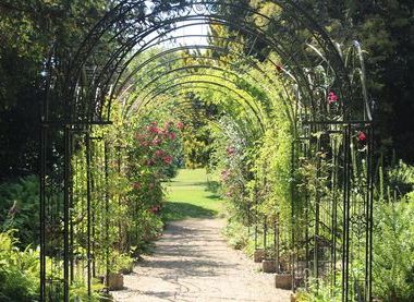 Pergola and Fernery