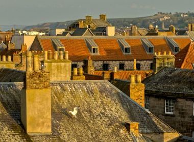Berwick Camera Club