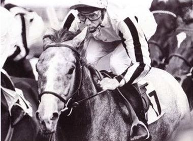 Jockey