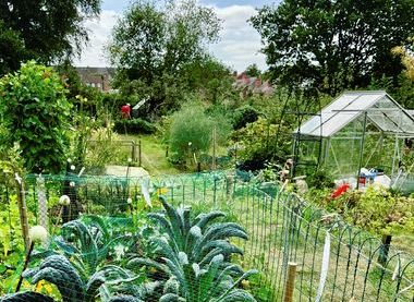 A summer's day on Bagthorpe Gardens