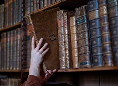 The Channon Library, Powderham Castle 