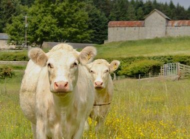 Cragend Farm 
