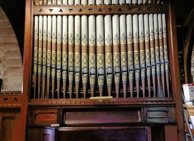 KD organ