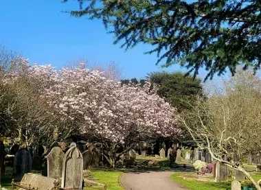 Photo: Canterbury Cemetery Friends