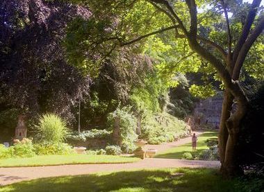 A city oasis