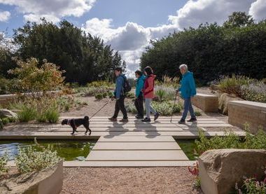 © National Trust Images / Rebecca Hughes