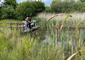 Family group pond dipping from a bit of decking over a pond surrounded by tall  grass.