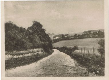 Bourne Hall Museum