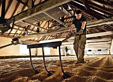Warminster Maltings Ltd