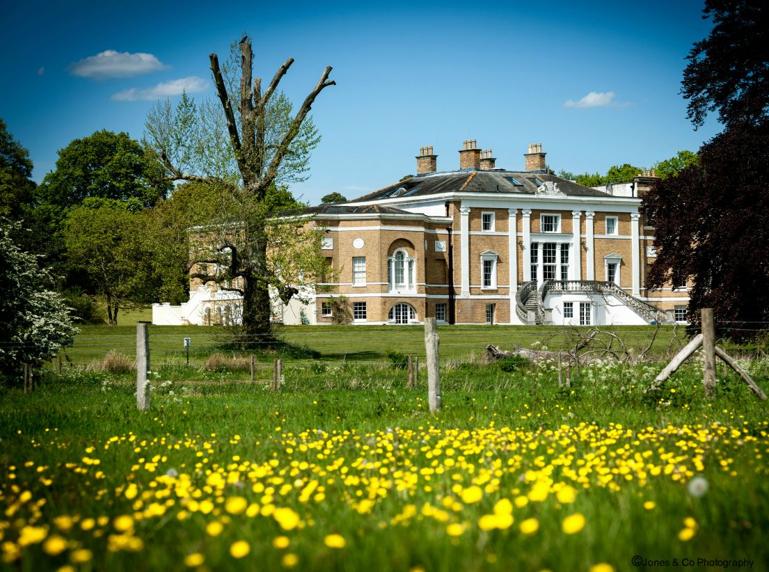 A large stately home in a field that is dotted with yellow flowers.