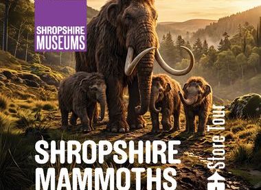 Shropshire Museum, Shropshire Council
