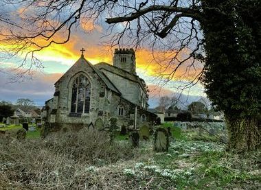 Explore the Award Winning Graveyard Wood Schofield