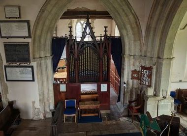 Organ
