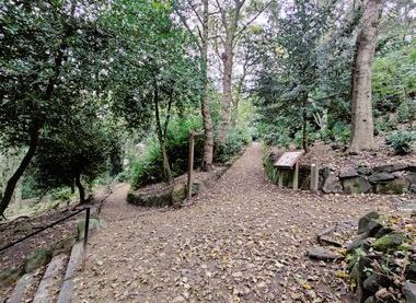 Paths in Prince of Wales Park