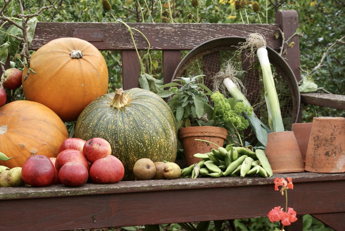 Various vegetables and fruits staged on a dark brown wooden bench.