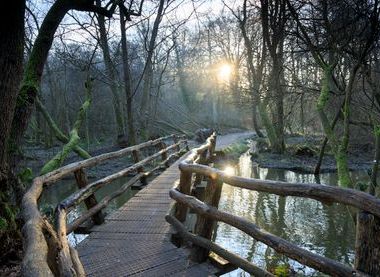 ©National Trust Images/John Miller