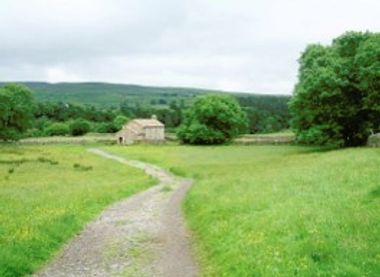 Natural England