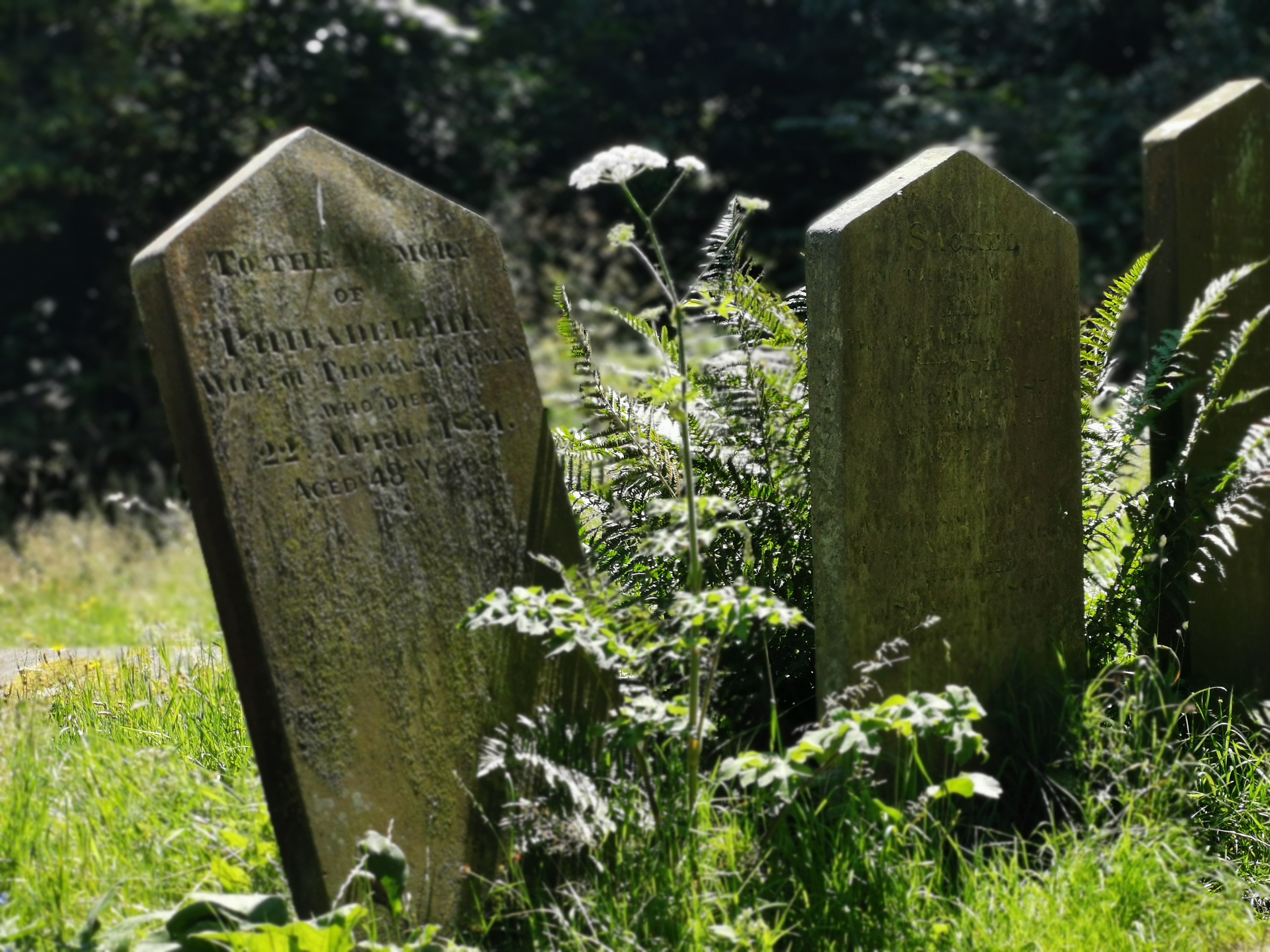 Headstone tilting backwards among green grass.