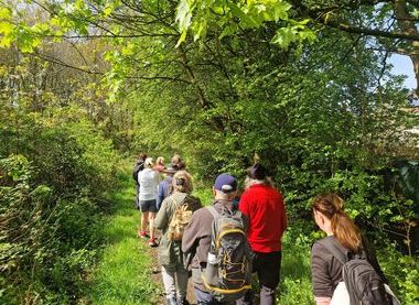 Friends of Bailey's Wood