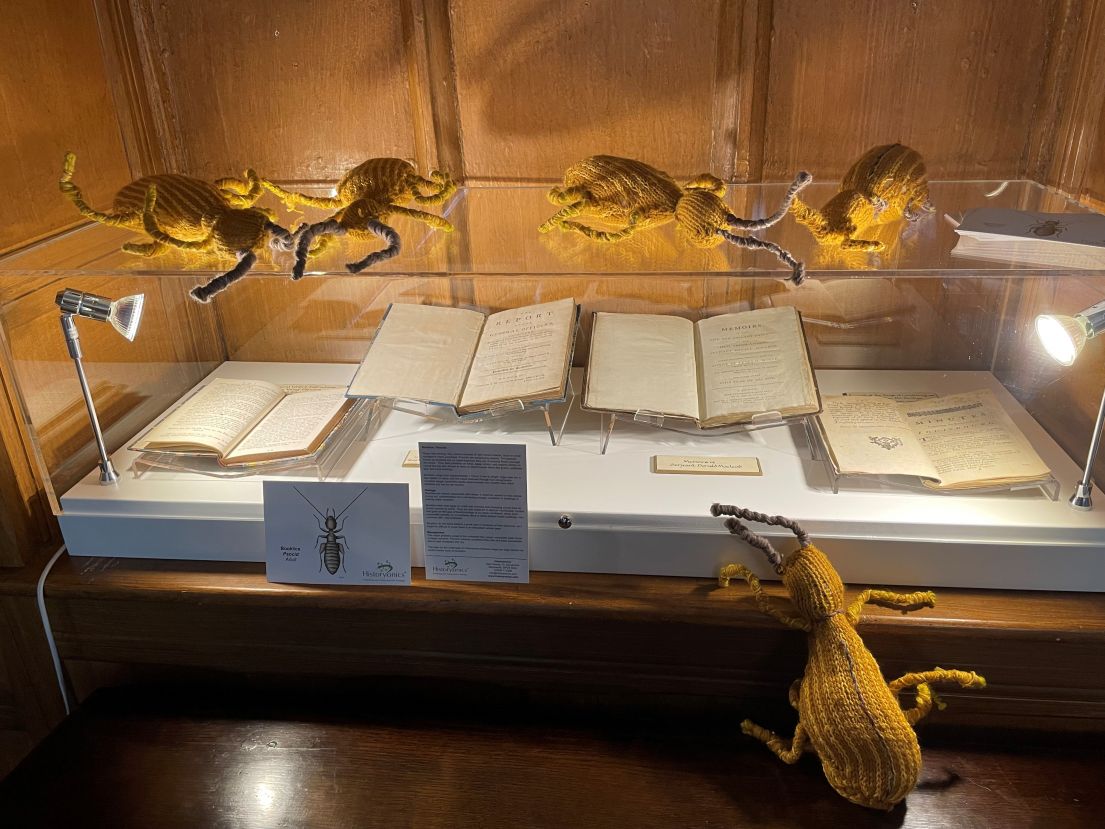  A glass box case displaying books inside. On top of it and to the site are woven beetles, a topic for conversation for curators.