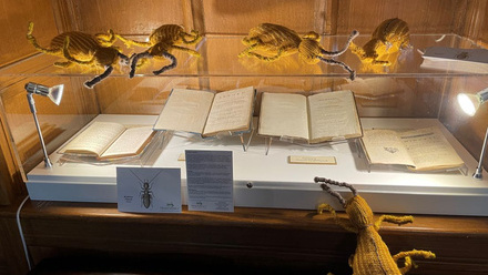  A glass box case displaying books inside. On top of it and to the site are woven beetles, a topic for conversation for curators.