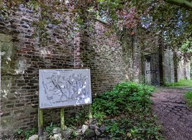 Friends of the Storey Gardens