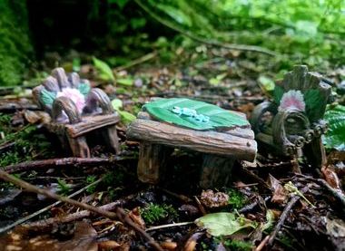 Friends of Bailey's Wood