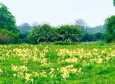 Wicksteed Park
