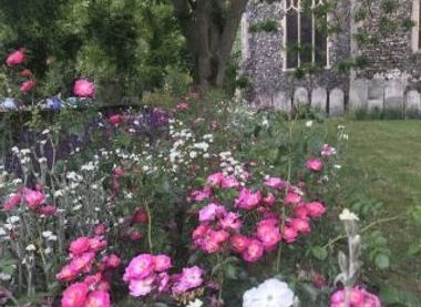 Heavenly Gardens
