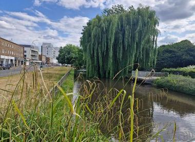 ©Alan Olive.  Jellicoe Water Gardens, Hemel Hempstead.