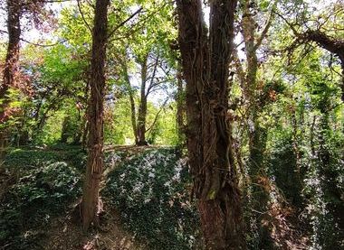 The Norfolk Archaeological Trust 
