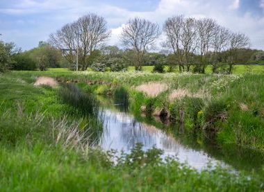 The Parks Trust