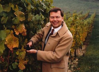 Courtesy of Denbies Wine Estate