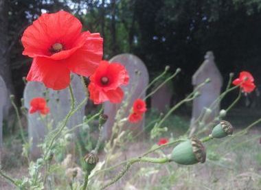 Cottenham Dissenters' Cemetery