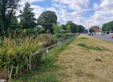 ©Alan Olive.  Jellicoe Water Gardens, Hemel Hempstead.