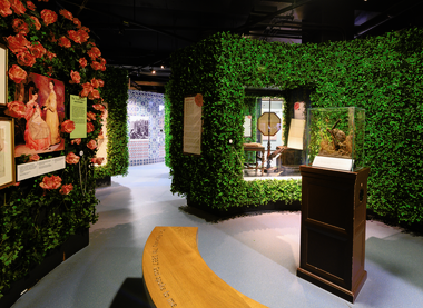 Florence Nightingale Museum 