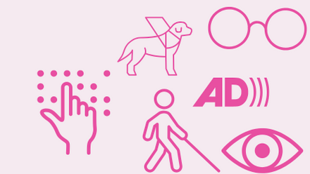 Graphic icons - spectacles, braille, guide dog.