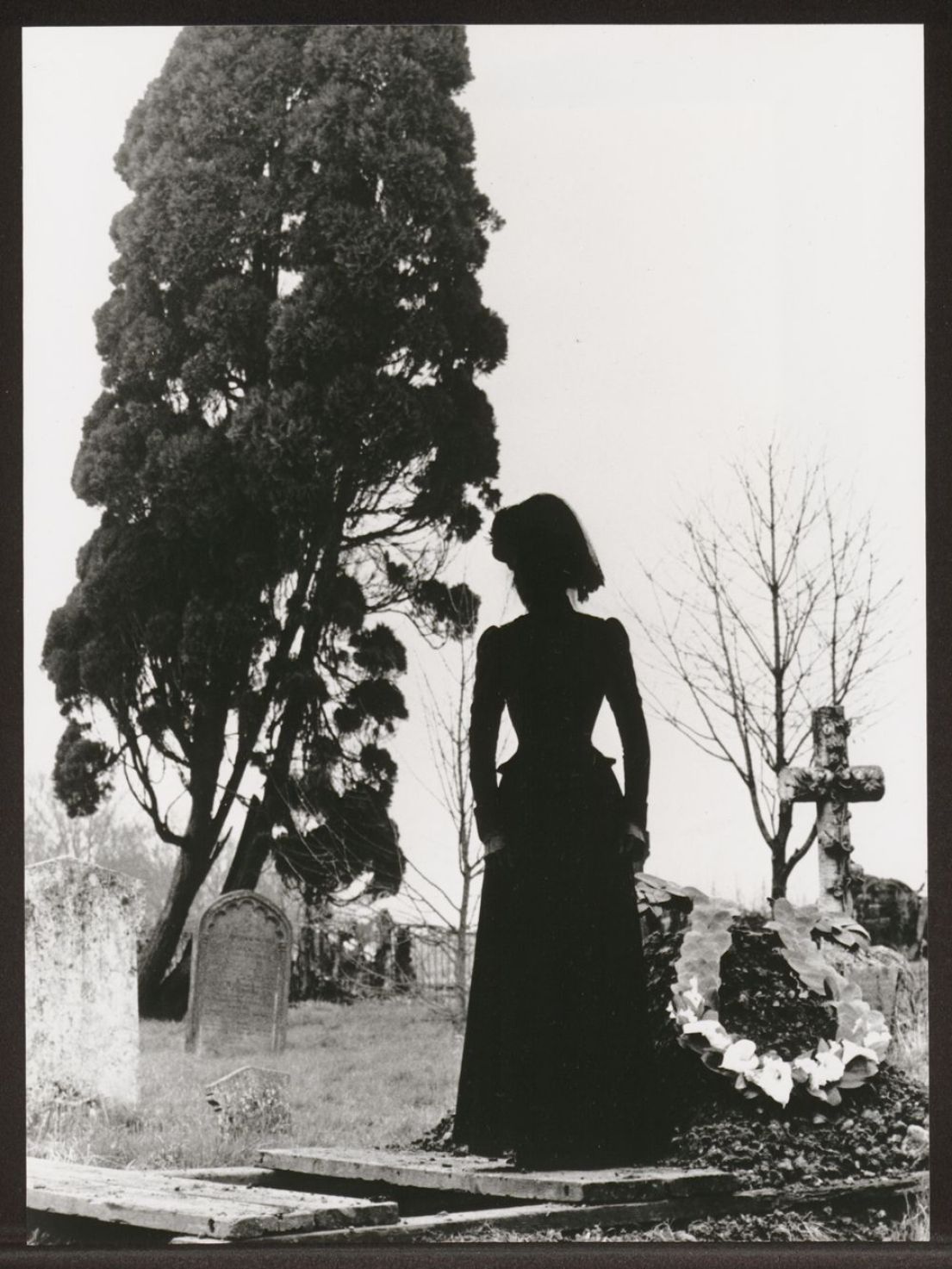 Silhouette of Victorian lady standing in a graveyard with a tall tree in the background.