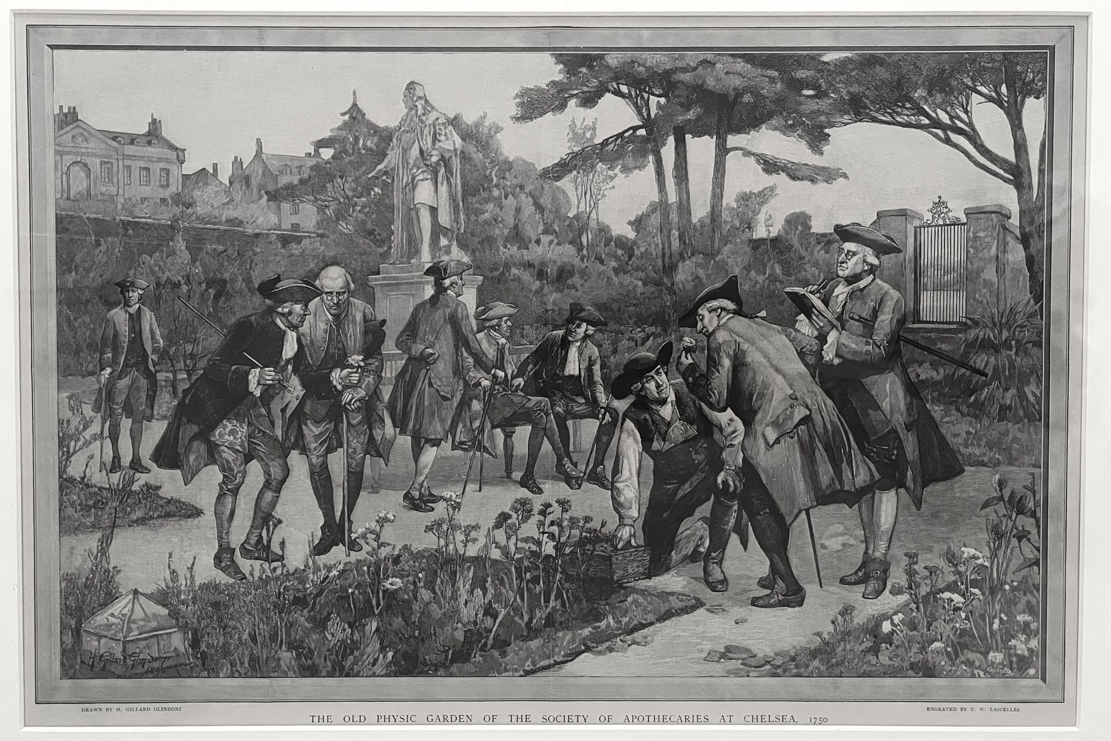 Large group of men in formal Georgian dress discussing and studying plants in a garden.