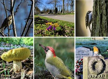 Friends of Nottingham Road Cemetery